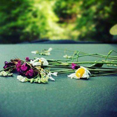 球探比分旧版大全截图