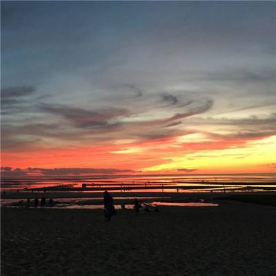 云平台appapp下载